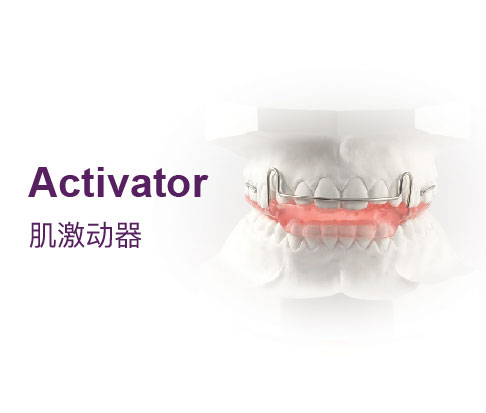 肌激动器 (Activator)